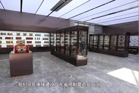 广东恒兴集团陈丹：投资10亿元承接建设广东省预制菜产业园区图片