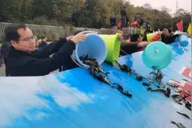 增殖放流，10万尾鱼苗投入柳江图片