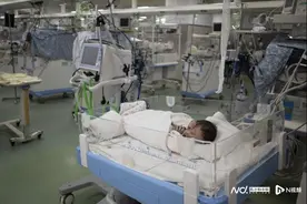 兔年新生儿，祥和气氛中添加给广州新的爱和责任图片