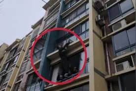 “你吓死妈妈啦”！男童翻越4楼窗台太揪心！图片