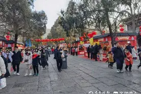 “熊孩子”在景区与家长走散，幸亏保安及时相助图片