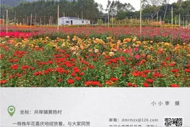 假期，每年+10天！丨晚安斗门图片