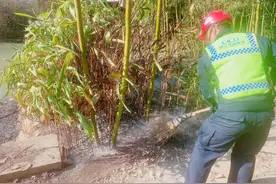 疑似有人引燃边上杂草，高速上一片白烟，幸好他们救援及时图片