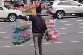 兔年养兔子？买兔子前先看看这些图片