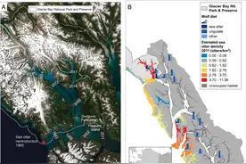 研究发现阿拉斯加狼群通过学习猎杀水獭繁衍种群 顺手灭绝了当地的鹿图片