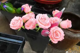 流淌在心底的温暖图片