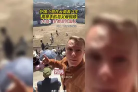 外国小哥在云南看斗牛与父母视频通话图片