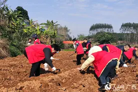 南宁市良庆区吹响春耕备耕“集结号”图片