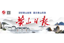 全力拼经济！“黄山10条”新政奋战“开门红”图片