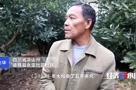 进口“网红果”国产了！一亩地收入4万元！你吃的牛油果，可能来自四川凉山图片