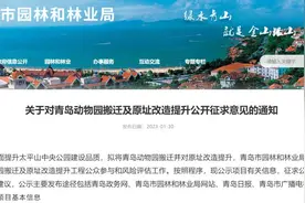 青岛动物园拟搬迁改造，“8块5的快乐”引发一拨暖心回忆杀……图片