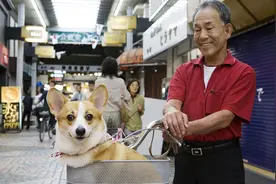 日本一调查：老年人养宠物可降低社保费图片