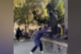 游客高喊“还我河山”并砸打秦桧像，太昊陵景区：公安已受案视频封面