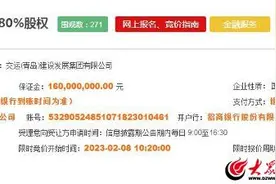 第三次转让！东李万竹云峰挂牌总价降至3.56亿图片