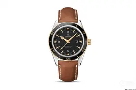 表友实拍种草｜三款倍儿有面的腕表推荐图片