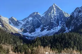 张明 | 感慨沧桑变，天边极目时 —— 《变量：在中国这艘大船上》书评图片