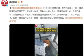 小猫被困通风井多日 消防员“投其所好”助脱困图片