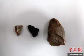 这些9万年前小石器的最新研究 发现中国北方最早石器装柄证据图片