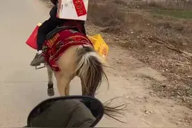 太拉风！9岁男孩背礼品策马奔跑走亲戚图片