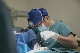 危险！3岁女孩伸手接它，瞬间脸上数道伤口……图片