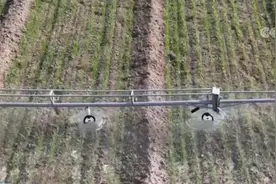 抢抓有利时机 做好小麦田间管理图片