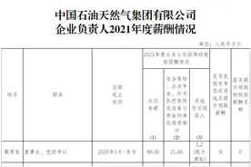 中石油董事长2021年年薪89.3万元图片