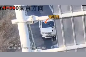 女子高速上被宠物狗锁在车外，交警砸窗开门图片