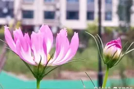 二月，与最美的春天相遇图片