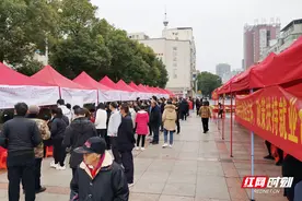 组图丨春风送暖 衡阳新春招聘忙图片