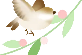 从环志看鸟类迁徙的规律图片