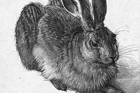 英国诗人谈“兔”不凡图片