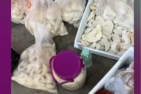 得知儿子临时要返程，父母熬夜为他包400个饺子带走视频封面