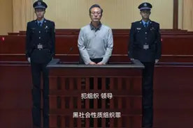 “判了！”《狂飙》更多细节曝光图片