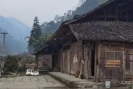 夜雨丨杨小霜：离开故乡的日子图片