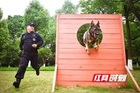 现实比《狂飙》更惊心动魄！衡阳公安警队里找到了安欣的原型图片