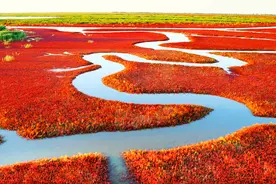 世界湿地日 | “诗情画意”的中国湿地图片