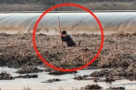 同时深陷泥潭，父亲舍命托起儿子……图片