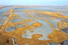 天津北大港湿地的别样冬韵图片