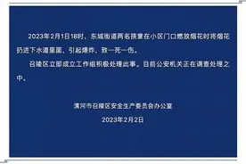 痛心！两孩童将烟花扔进下水道，一死一伤，逝者仅7岁图片