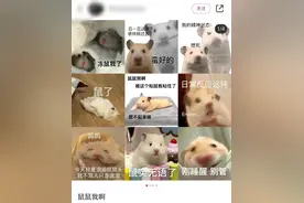 【梗研究】像只老鼠一样去倾诉心事，“鼠鼠我啊”是个什么梗？图片