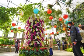 快来看一角硬币上的“铝兰花”！国家植物园邀您元宵节赏兰观展图片