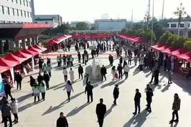 唐河：“春风”送岗稳就业 “卯”足干劲开新局图片