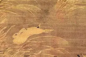 疯狂的兔子图片