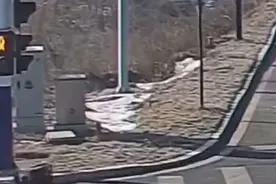 拖拉机失控甩出司机不停转圈，热心男子飞扑帮忙控制车辆图片