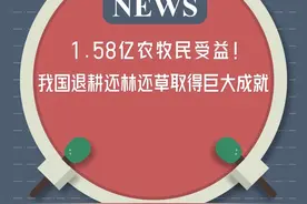 1.58亿农牧民受益！我国退耕还林还草取得巨大成就图片