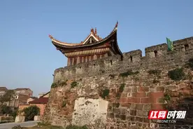 读书故事③丨采茶姑娘张冬娇：放下头花“换”了书图片