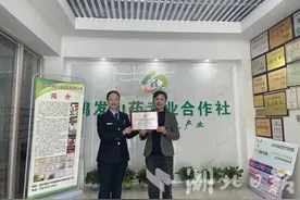 利川市：“四个一”护航知识产权保护图片