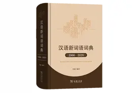 过去的20年，产生了哪些汉语新词语？图片