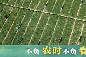 不负农时不负春图片