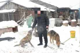 一男子用猎犬猎捕野生动物？真“刑”！图片